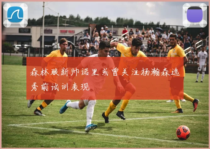 森林狼新帅诺里或曾关注杨瀚森选秀前试训表现