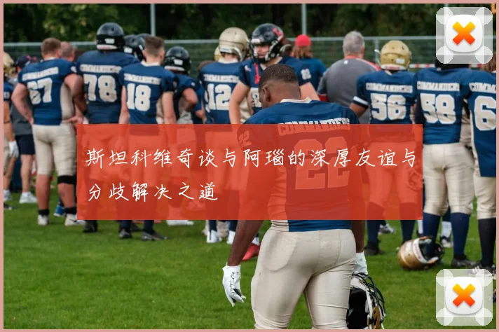 斯坦科维奇谈与阿瑙的深厚友谊与分歧解决之道