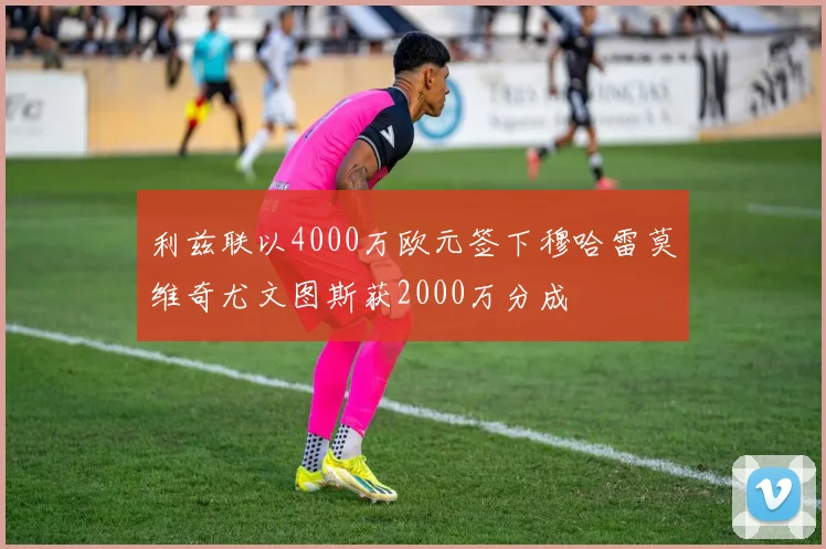 利兹联以4000万欧元签下穆哈雷莫维奇尤文图斯获2000万分成